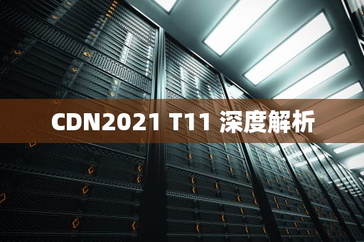 CDN2021 T11 深度解析