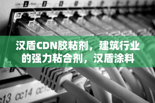 汉盾CDN胶粘剂，建筑行业的强力粘合剂，汉盾涂料