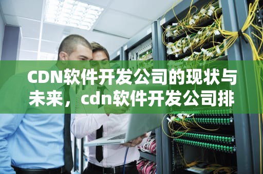 CDN软件开发公司的现状与未来，cdn软件开发公司排名