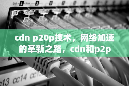 cdn p20p技术，网络加速的革新之路，cdn和p2p