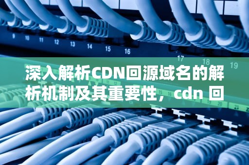 深入解析CDN回源域名的解析机制及其重要性，cdn 回源