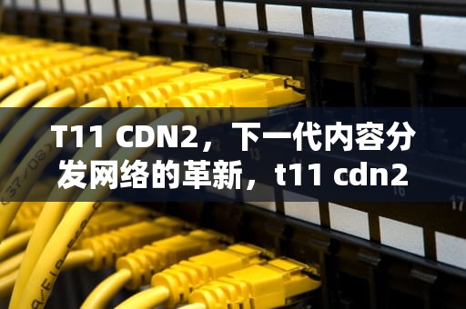 T11 CDN2，下一代内容分发网络的革新，t11 cdn2024
