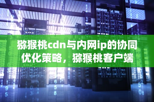 猕猴桃cdn与内网ip的协同优化策略，猕猴桃客户端