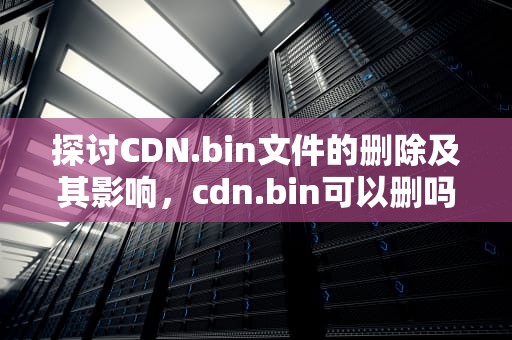 探讨CDN.bin文件的删除及其影响，cdn.bin可以删吗