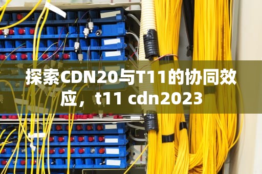 探索CDN20与T11的协同效应，t11 cdn2023