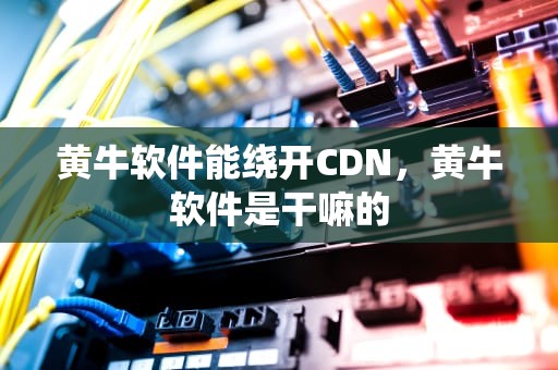 黄牛软件能绕开CDN，黄牛软件是干嘛的
