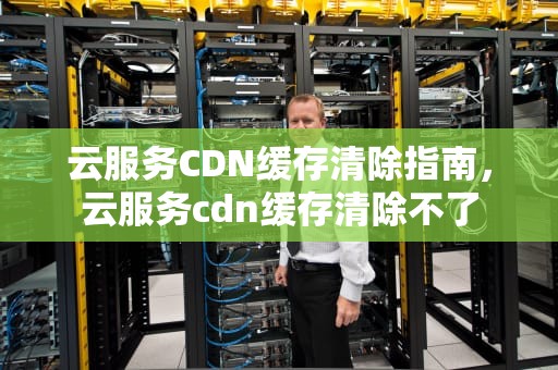 云服务CDN缓存清除指南，云服务cdn缓存清除不了