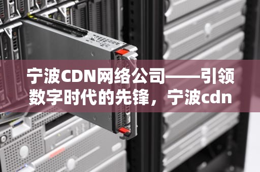 宁波CDN网络公司——引领数字时代的先锋，宁波cdn网络公司怎么样