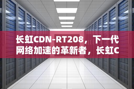 长虹CDN-RT208，下一代网络加速的革新者，长虹CDN-RY2000-S15T
