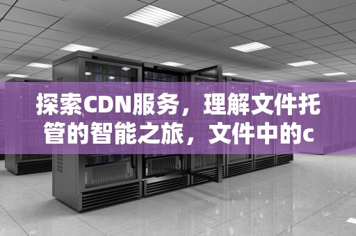 探索CDN服务，理解文件托管的智能之旅，文件中的cdn在哪里打开