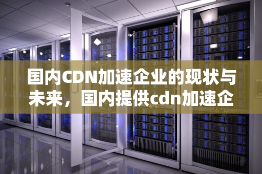 国内CDN加速企业的现状与未来，国内提供cdn加速企业的公司