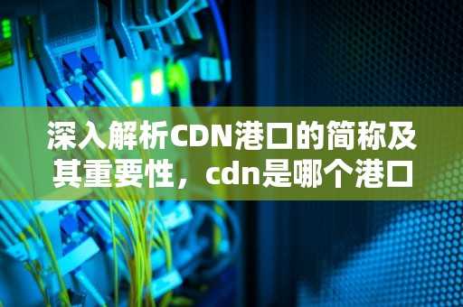 深入解析CDN港口的简称及其重要性，cdn是哪个港口简称
