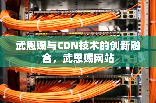 武恩赐与CDN技术的创新融合，武恩赐网站
