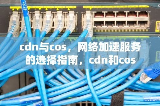 cdn与cos，网络加速服务的选择指南，cdn和cos