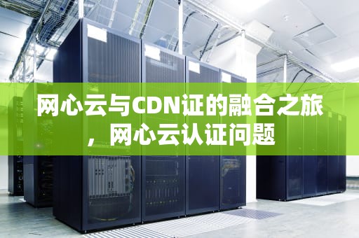 网心云与CDN证的融合之旅，网心云认证问题