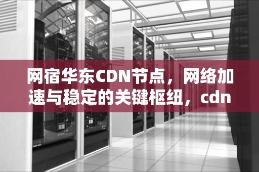 网宿华东CDN节点，网络加速与稳定的关键枢纽，cdn网宿科技