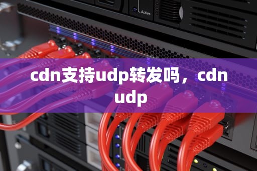 cdn支持udp转发吗，cdn udp