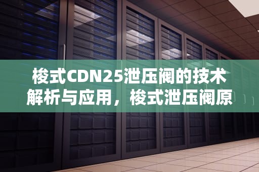 梭式CDN25泄压阀的技术解析与应用，梭式泄压阀原理视频