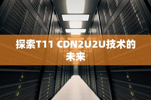 探索T11 CDN2U2U技术的未来