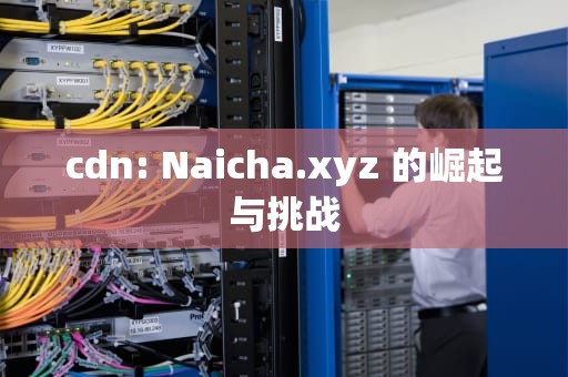 cdn: Naicha.xyz 的崛起与挑战
