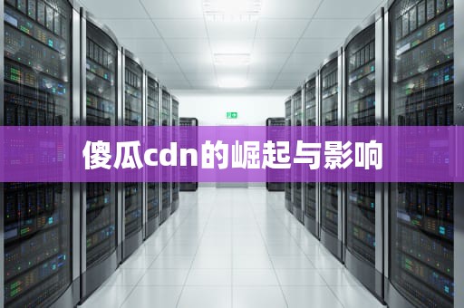 傻瓜cdn的崛起与影响