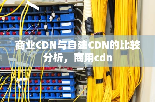 商业CDN与自建CDN的比较分析，商用cdn