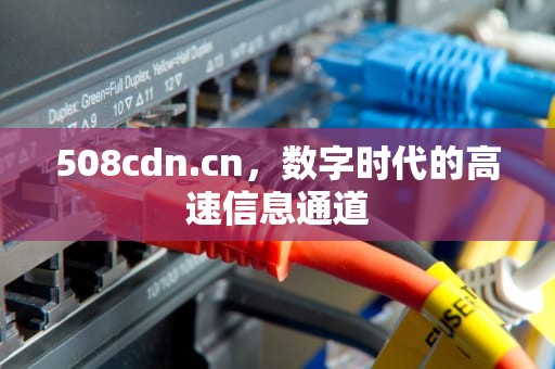 508cdn.cn，数字时代的高速信息通道