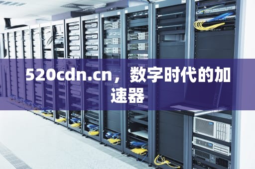 520cdn.cn，数字时代的加速器