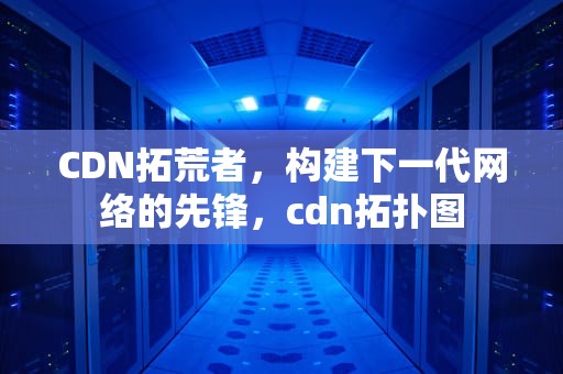 CDN拓荒者，构建下一代网络的先锋，cdn拓扑图
