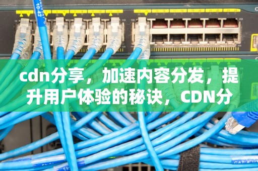 cdn分享，加速内容分发，提升用户体验的秘诀，CDN分享赚钱是套路吗