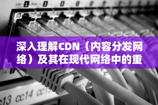 深入理解CDN（内容分发网络）及其在现代网络中的重要性，cDNA拷贝数