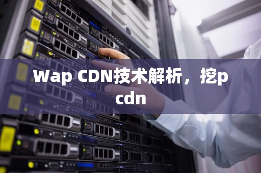 Wap CDN技术解析，挖pcdn