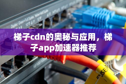 梯子cdn的奥秘与应用，梯子app加速器推荐