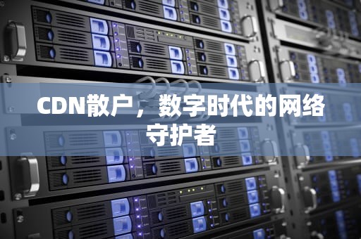 CDN散户，数字时代的网络守护者