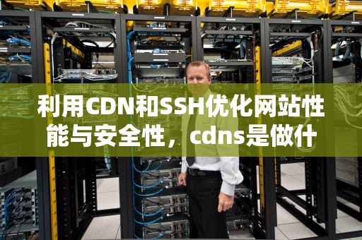 利用CDN和SSH优化网站性能与安全性，cdns是做什么的