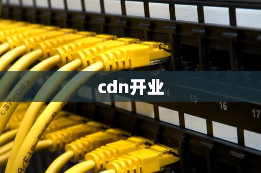 cdn开业