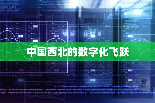 中国西北的数字化飞跃
