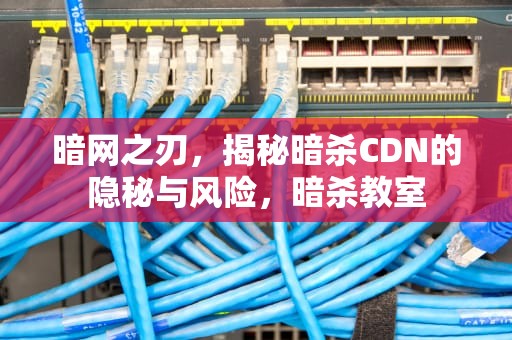 暗网之刃，揭秘暗杀CDN的隐秘与风险，暗杀教室