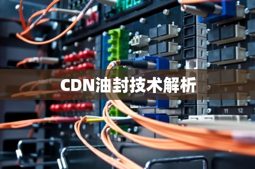 CDN油封技术解析