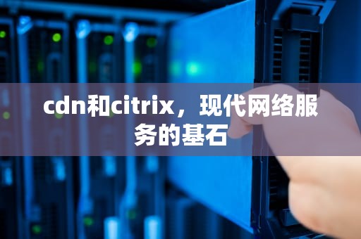 cdn和citrix，现代网络服务的基石