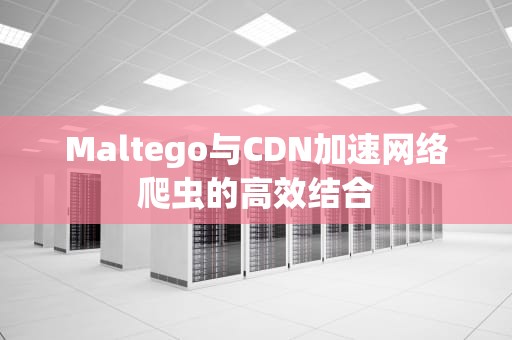 Maltego与CDN加速网络爬虫的高效结合