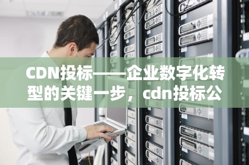 CDN投标——企业数字化转型的关键一步，cdn投标公示