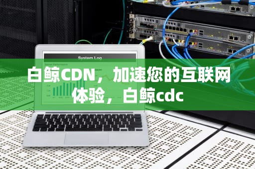 白鲸CDN，加速您的互联网体验，白鲸cdc