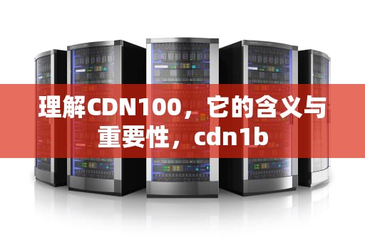 理解CDN100，它的含义与重要性，cdn1b