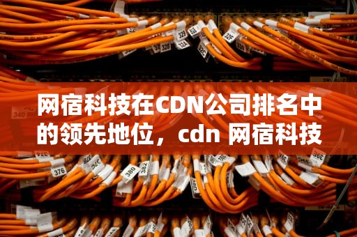 网宿科技在CDN公司排名中的领先地位，cdn 网宿科技