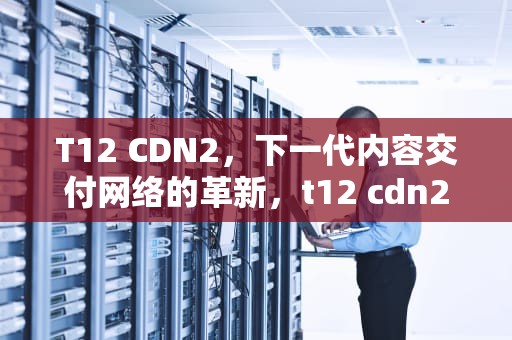 T12 CDN2，下一代内容交付网络的革新，t12 cdn2023
