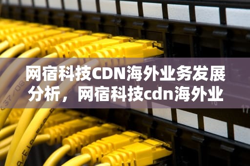 网宿科技CDN海外业务发展分析，网宿科技cdn海外业务营收多少