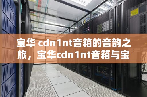 宝华 cdn1nt音箱的音韵之旅，宝华cdn1nt音箱与宝华705哪款先出