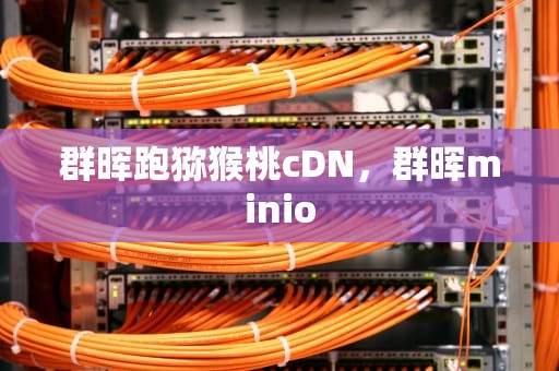 群晖跑猕猴桃cDN，群晖minio