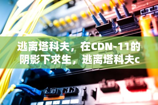 逃离塔科夫，在CDN-11的阴影下求生，逃离塔科夫cdn-13